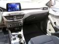 Ford Focus Cool & Connect 1,5 EcoBlue Start/Stopp Gris - thumbnail 23