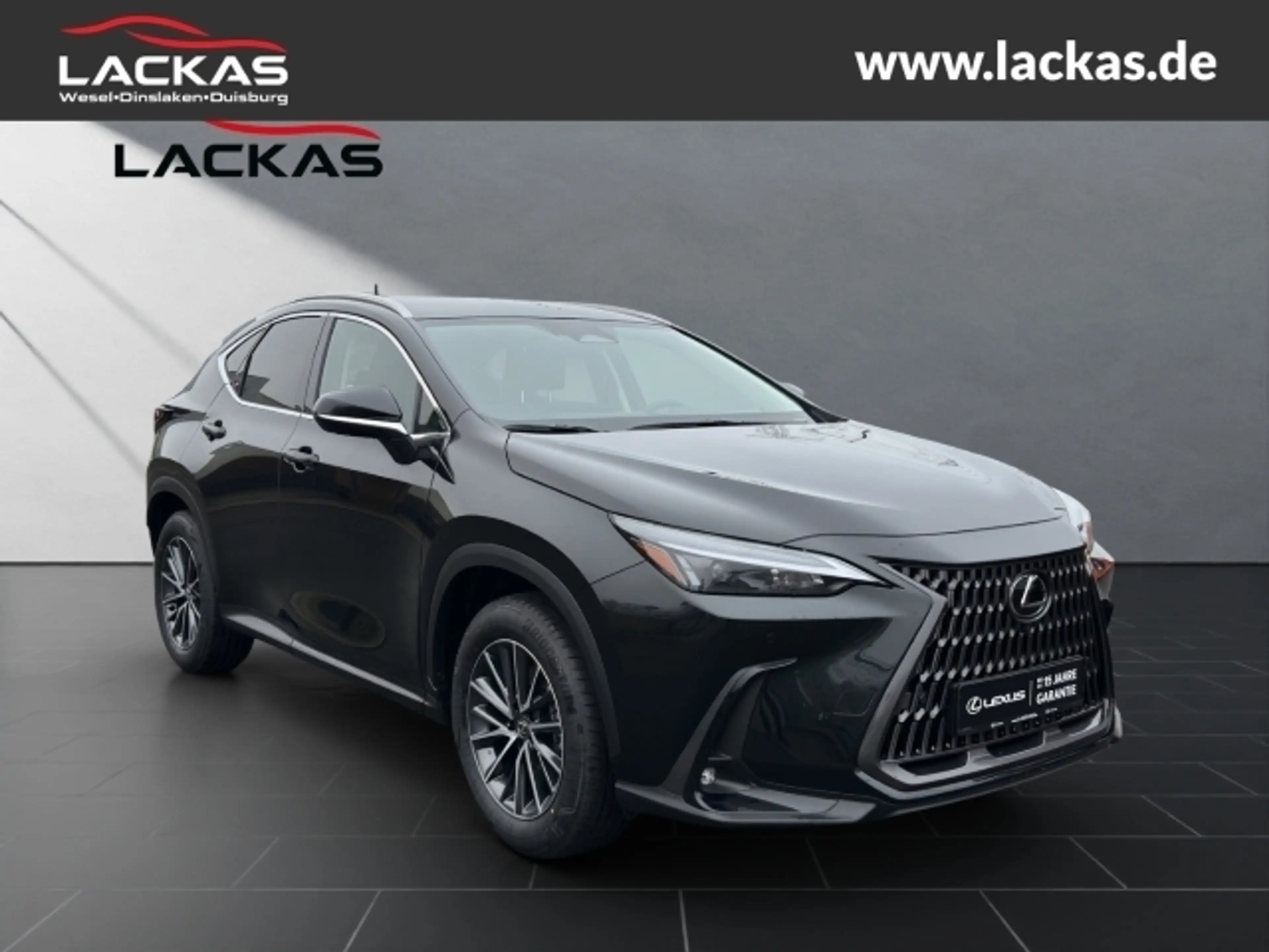 Lexus NX 450h+ + Business 4x4+SITZBELÜF.+SHZ hinten+360 — photo 7