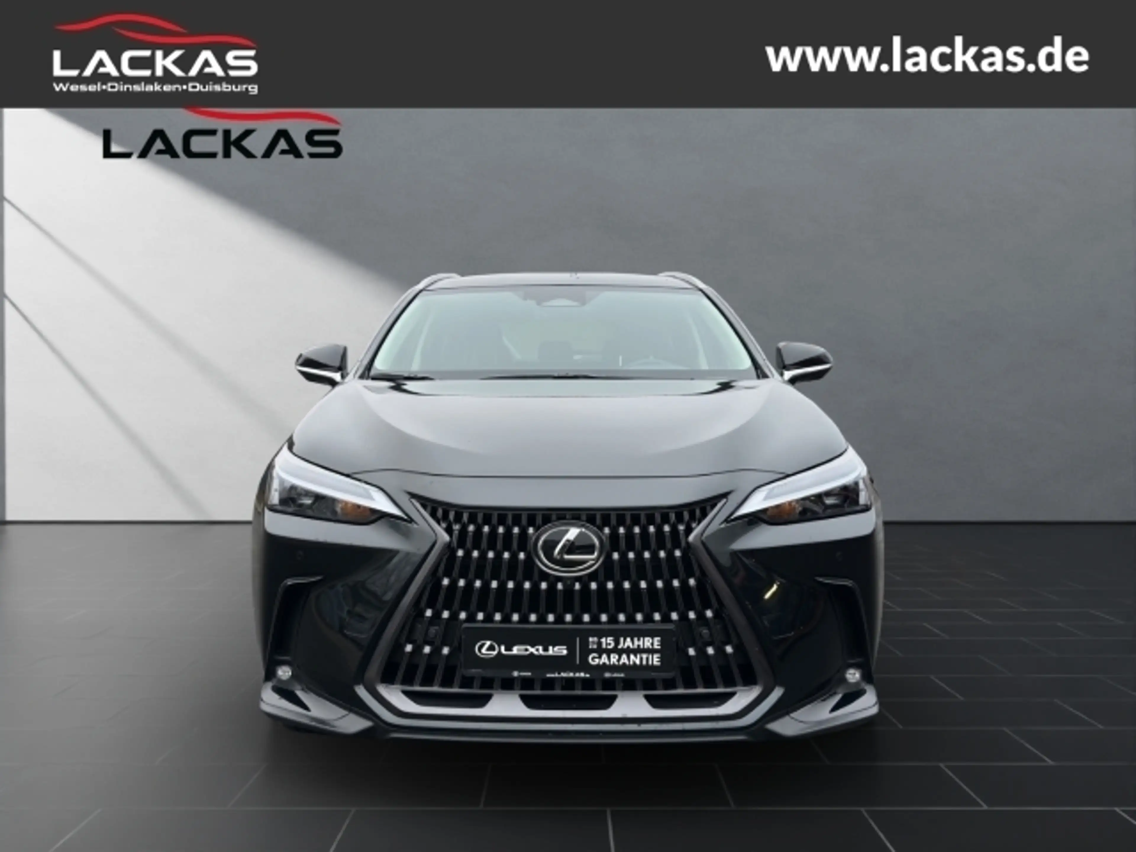 Lexus NX 450h+ + Business 4x4+SITZBELÜF.+SHZ hinten+360 — photo 8
