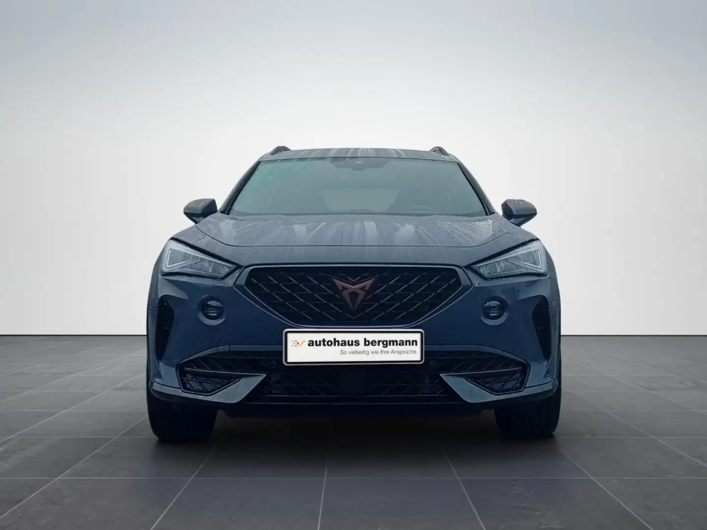 CUPRA Formentor 1.5 TSI DSG Gris - 2