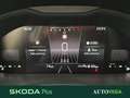 Skoda Kamiq 1.0 tsi selection 95cv Grigio - thumbnail 11