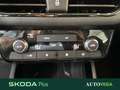 Skoda Kamiq 1.0 tsi selection 95cv Grigio - thumbnail 14