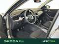 Skoda Kamiq 1.0 tsi selection 95cv Grigio - thumbnail 7