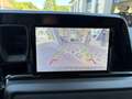 Ford Tourneo Courier Titanium 1.0 Ecoboost Grün - thumbnail 13