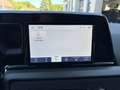 Ford Tourneo Courier Titanium 1.0 Ecoboost Grün - thumbnail 11