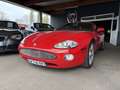 Jaguar XK8 R 4.0 SURALIMENTE COUPE BA Rot - thumbnail 1
