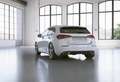 Mercedes-Benz A 250 Kompaktlimousine PTS Navi Wide Cam LED SHZ Weiß - thumbnail 15