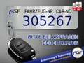 Ford Focus Turnier ST-Line X #Panorama #Matrix-LED #ACC #e... Blue - thumbnail 2