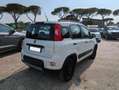 Fiat Panda 4X4 0.9cc 84cv Bianco - thumbnail 4