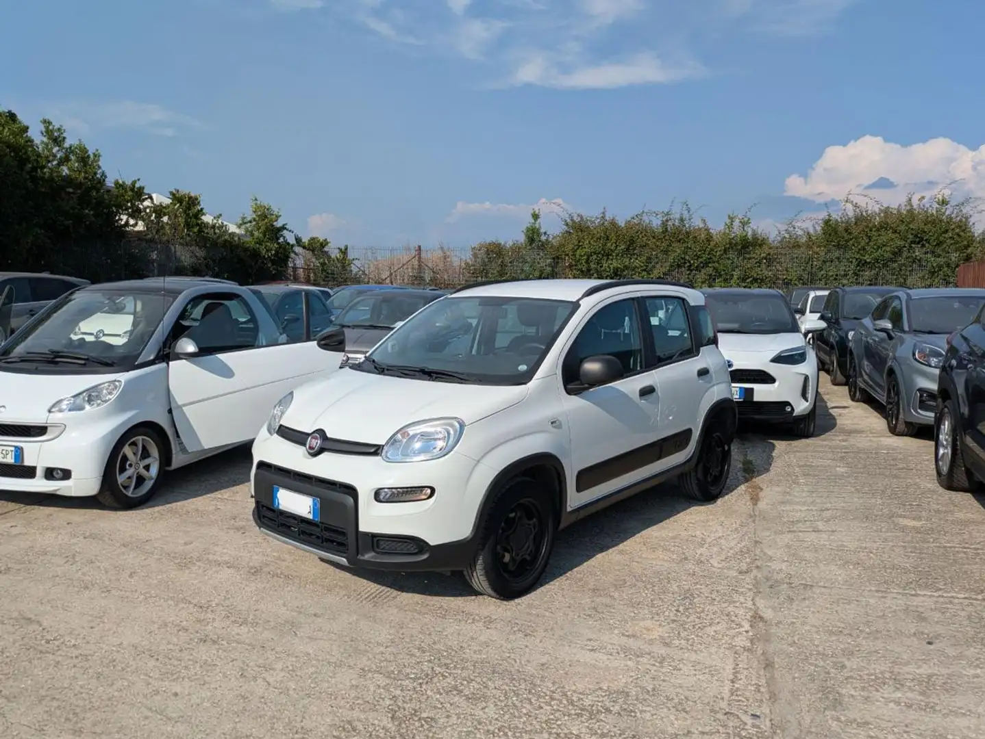 Fiat Panda 4X4 0.9cc 84cv Bianco - 1