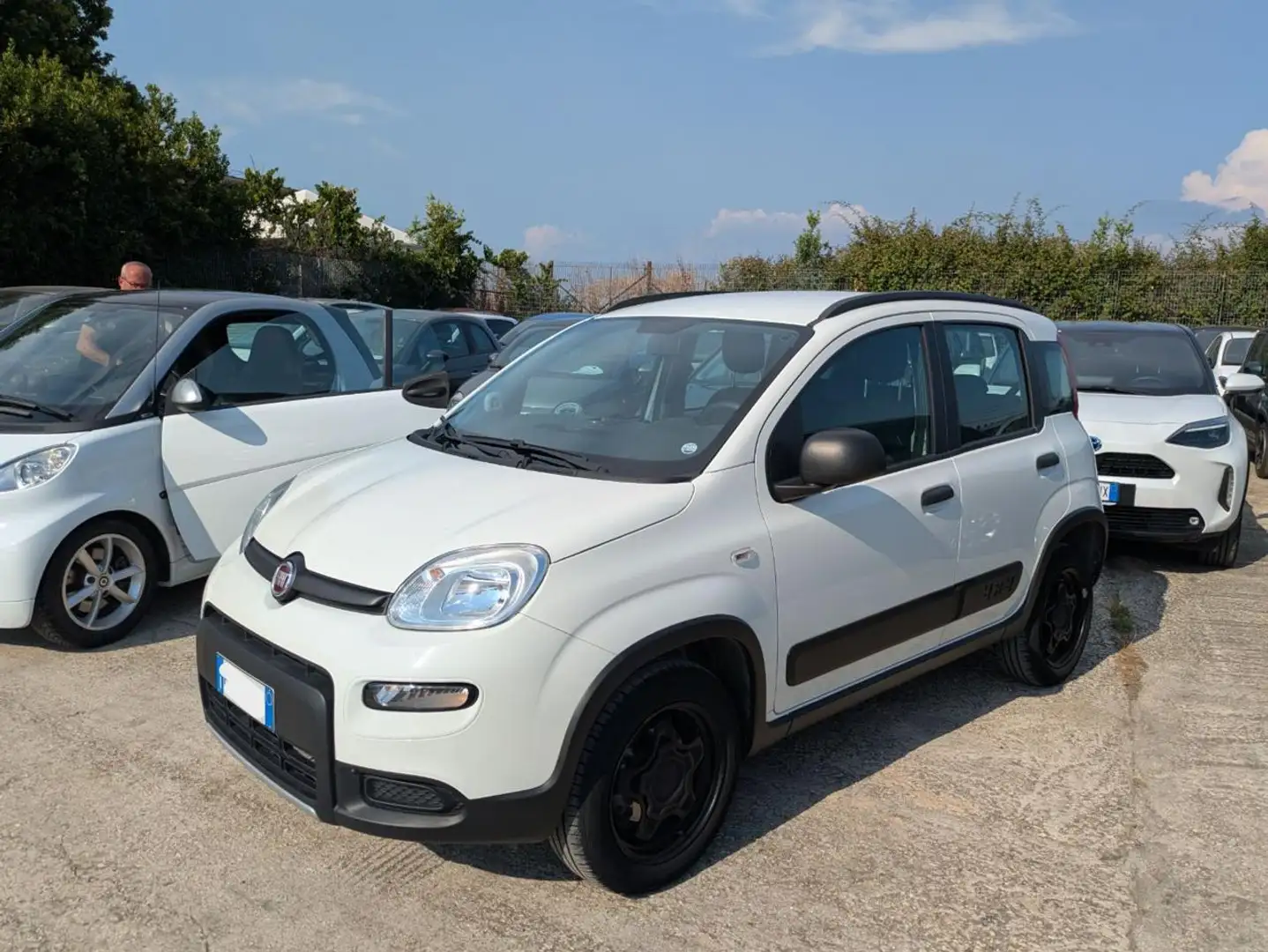 Fiat Panda 4X4 0.9cc 84cv Bianco - 2