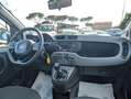 Fiat Panda 4X4 0.9cc 84cv Bianco - thumbnail 10