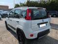 Fiat Panda 4X4 0.9cc 84cv Bianco - thumbnail 5
