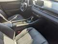 Mazda 6 Kombi 2.5l Takumi AHK Nappaleder GSD Bose 360° 1.H Rot - thumbnail 9