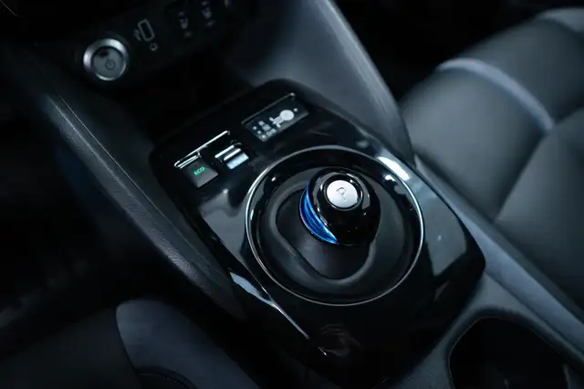 Nissan Leaf view 10