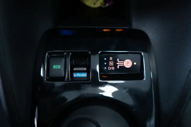 Nissan Leaf view 14