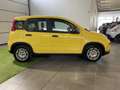 Fiat Panda 1.0 FireFly S&S Hybrid Pandina Gelb - thumbnail 4
