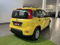 Fiat Panda 1.0 FireFly S&S Hybrid Pandina Gelb - thumbnail 5