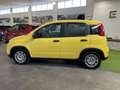Fiat Panda 1.0 FireFly S&S Hybrid Pandina Gelb - thumbnail 8