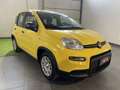 Fiat Panda 1.0 FireFly S&S Hybrid Pandina Gelb - thumbnail 3