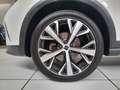 SEAT Arona Arona 2022 1.0 ecotsi Xperience 95cv Bianco - thumbnail 12