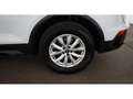 Audi Q5 SB 40 TDI quattro advanced Aut LED AHK LEDER Weiß - thumbnail 27
