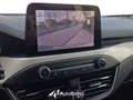 Ford Focus 1.5 EcoBlue 120 CV Automatico Business Co-Pilot 5 Grigio - thumbnail 14