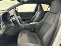 Toyota C-HR 200H Advance Bianco - thumbnail 12