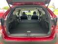 Subaru OUTBACK 2.5i*AWD*Platinum*LED*DAB+*4xSHZ*PTC Rood - thumbnail 10