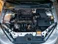 Ford Focus - thumbnail 4
