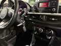 Kia Picanto 1.2i Dream Team Winter DAB Klima 15tkm Schwarz - thumbnail 11