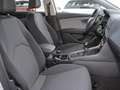 SEAT Leon ST Style 1.6 TDI LED/NAVI/KAMERA/DAB/2xPDC Bianco - thumbnail 5