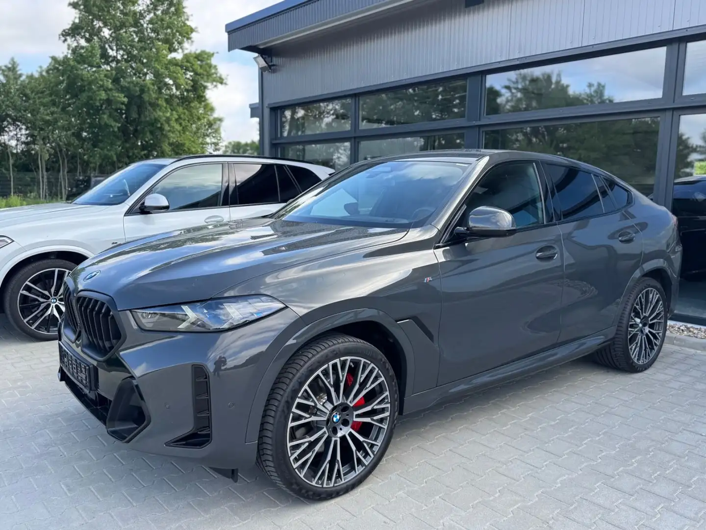 BMW X6 30d M Sport Pro -Pano-Harman&Kard-360K-22Zo Gris - 1