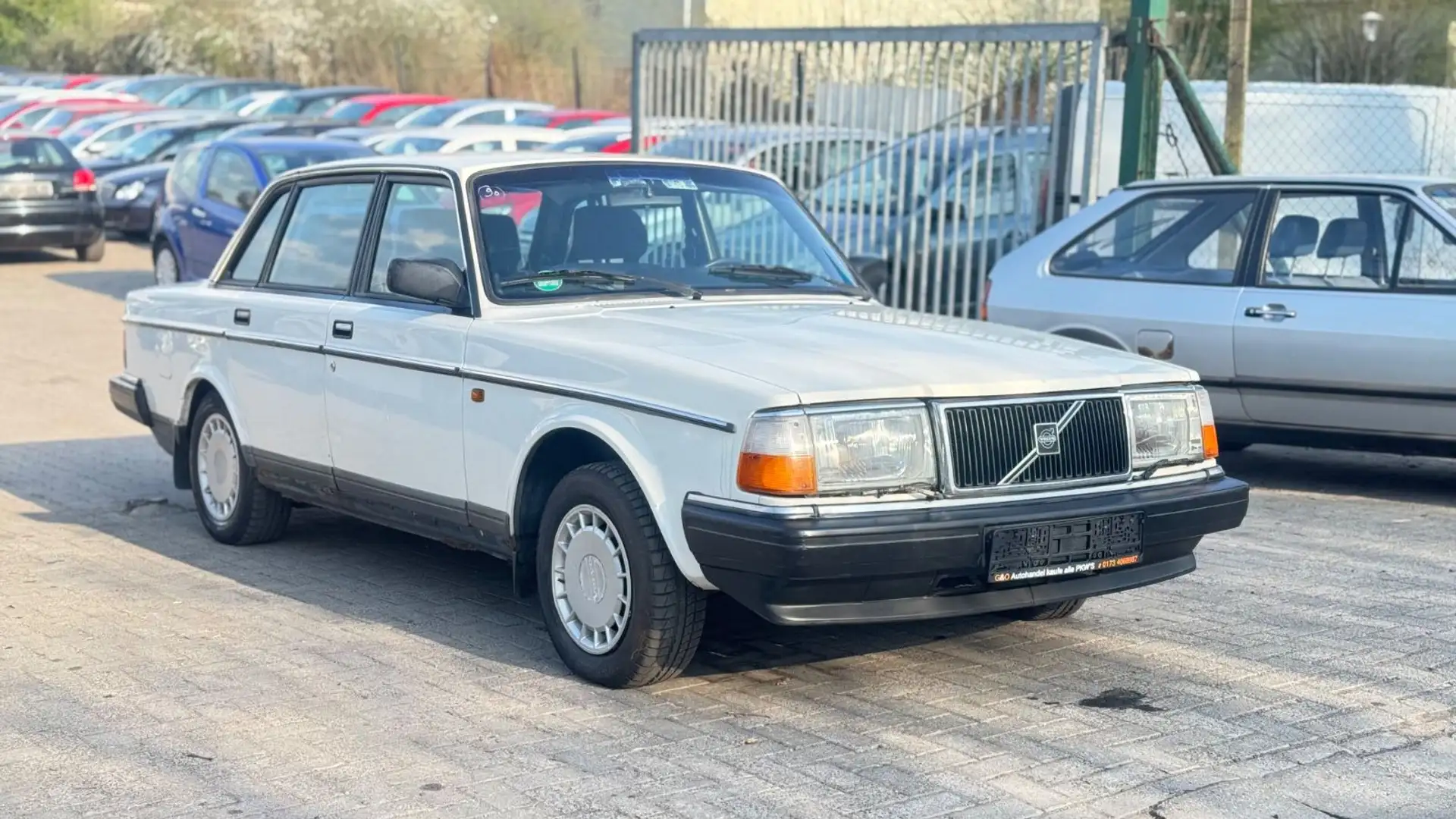 Volvo 244 *limo Weiß - 1