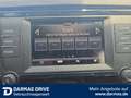 Skoda Karoq Karoq 1,0 TSI "Active" AHK 8-fach SHZ *Top* Weiß - thumbnail 15