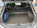 Ford Focus Turnier ST-Line Aut. LED Navi Carplay Pano B&O ACC Grau - thumbnail 10