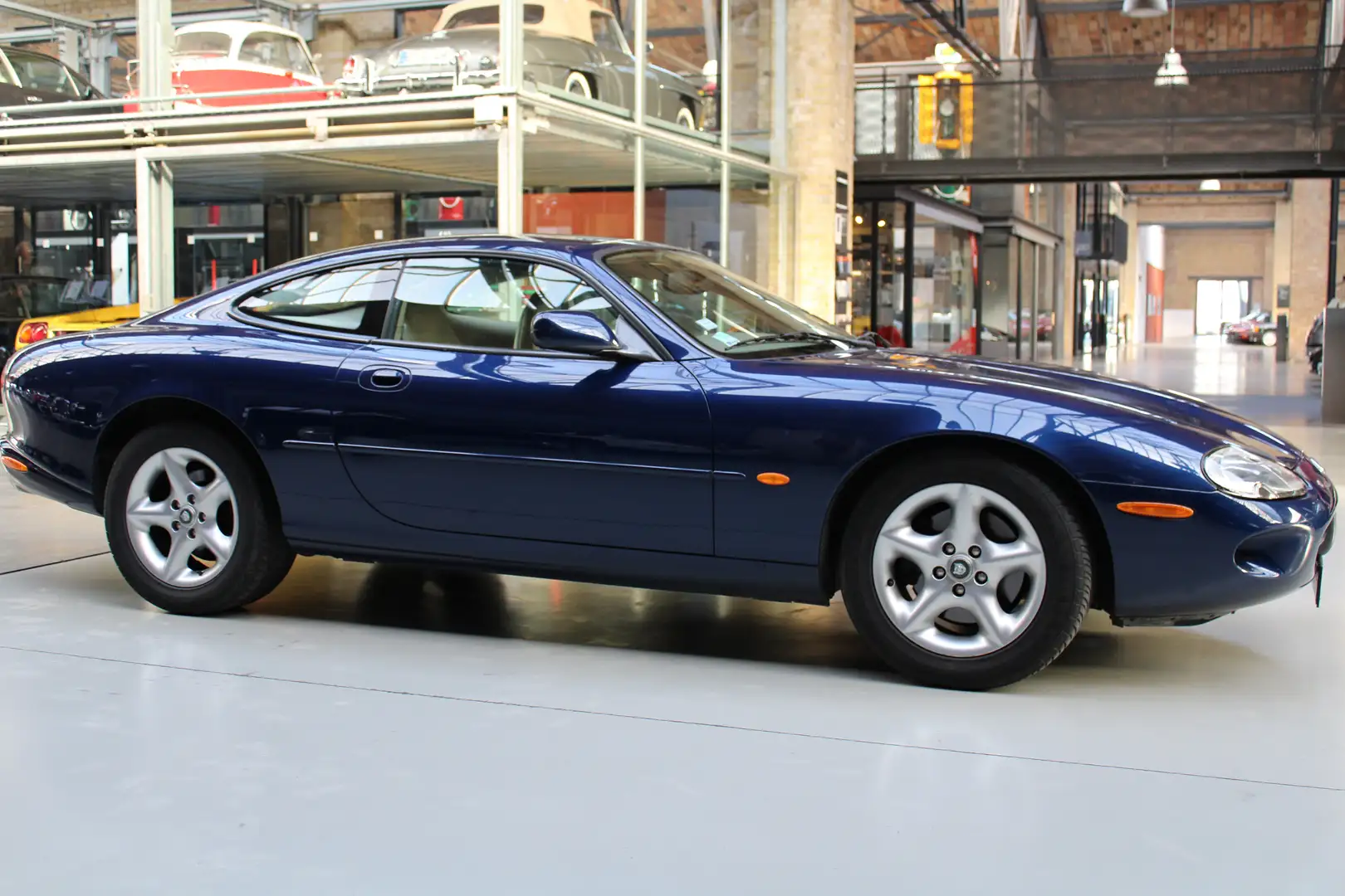 Jaguar XK8 Coupe Azul - 2