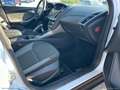 Ford Focus Focus 1.6 TDCi 115CV SW Titanium N1 Bs. Blanc - thumbnail 20