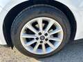 Ford Focus Focus 1.6 TDCi 115CV SW Titanium N1 Bs. Blanco - thumbnail 9