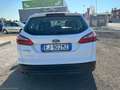 Ford Focus Focus 1.6 TDCi 115CV SW Titanium N1 Bs. Blanco - thumbnail 7