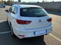 SEAT Leon Leon ST 1.6 tdi Xcellence 115cv Bianco - thumbnail 8