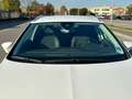 SEAT Leon Leon ST 1.6 tdi Xcellence 115cv Bianco - thumbnail 4