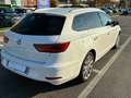 SEAT Leon Leon ST 1.6 tdi Xcellence 115cv Bianco - thumbnail 11