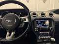 Ford Mustang Fastback 2.3 EcoBoost Verde - thumbnail 16