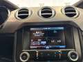 Ford Mustang Fastback 2.3 EcoBoost Verde - thumbnail 20