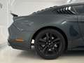 Ford Mustang Fastback 2.3 EcoBoost Verde - thumbnail 10