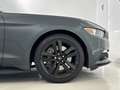 Ford Mustang Fastback 2.3 EcoBoost Verde - thumbnail 14