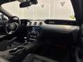 Ford Mustang Fastback 2.3 EcoBoost Verde - thumbnail 19