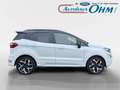 Ford EcoSport ST-Line 1.0 EcoBoost - SCHIEBEDACH - RFK - SHZ - Weiß - thumbnail 8