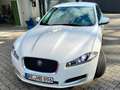 Jaguar XF XF 2.2 Diesel Weiß - thumbnail 3